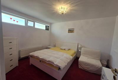 Inchiriere Vila De Lux in Tara Fagarasului Inchiriere Vila De Lux in Tara Fagarasului - 18