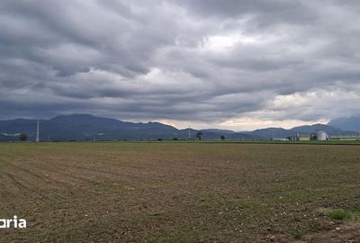 Teren de 1000 mp, în Vulcan