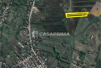 Teren de vanzare, Breazu, 9930 mp, ideal investitie 4,9 euro/mp - 5