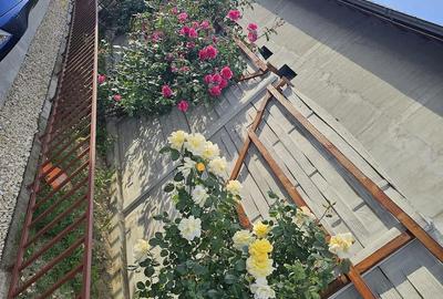 Casă cu Teren 360 Mp în Cornetu - 4