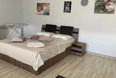Garsonieră decomandată în Centrul Civic - 2