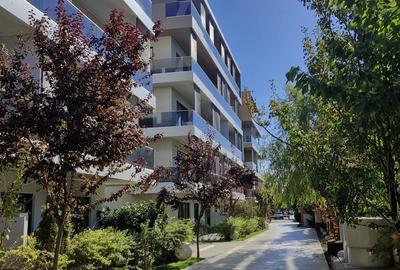 2 Camere I PIPERA I Iancu Nicolae - 21