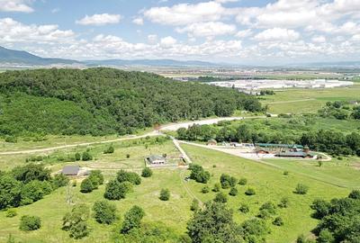 Teren Construcții intravilan de 5500 mp, în Cristian - 22