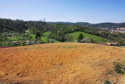 Parcele intravilan cu extravilan Calea Caransebesului km 2 loturi de 1000 mp negociabil - 4