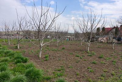 Teren de 5800 mp, în Mădârjești - 6