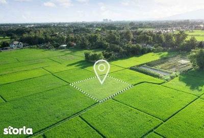 Teren de 40060 mp, în Giulvăz - 1