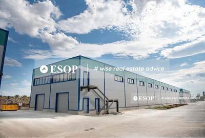 RivPark Popesti-Leordeni, spatii industriale 600 - 1.200 mp, - 2