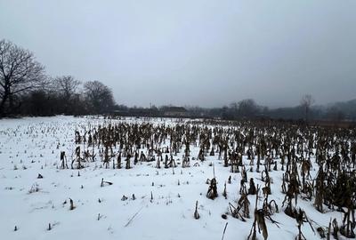 Vand casa+teren 4400m2 in Polovragi - 1