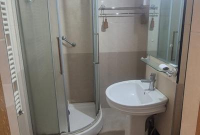 Apartament Lacul Tei - Parcul Tei - Facultatea de Constructii - 12