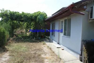 Casă individuală cu 2 camere cu Teren 1400 Mp în Cobadin - 4