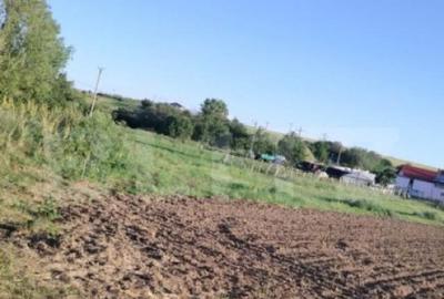 Teren ideal pentru constructie, 2722 mp in Ghercesti - 2