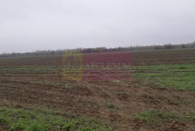 Teren Investiție aproape de București - 3