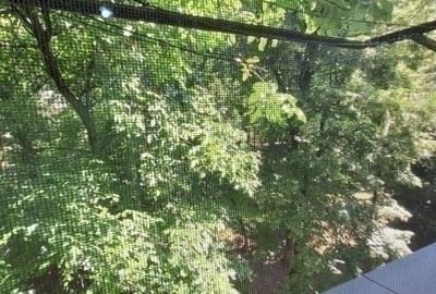 UMF-Biblioteca centrala-Copou - 9