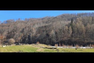 Spațiu comercial, în Moroeni - 1