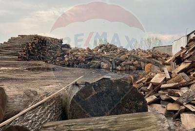 Spațiu industrial, de 7,756 mp, în Cerăt - 42