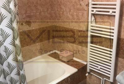 Apartament 2 camere decomandat zona Dacia -Scoala Cosbuc - 10