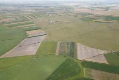 Teren arabil de 40 hectare in Zarand - 4