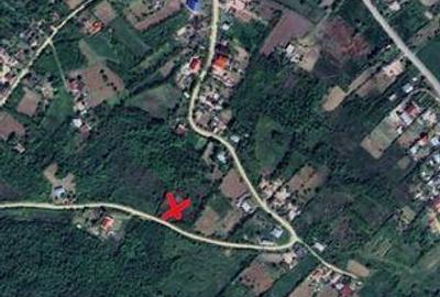 Teren de 3000 mp, în Golăiești - 3