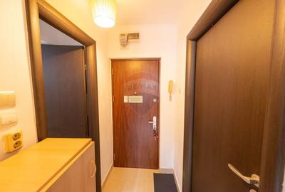 Garsoniera deosebita de vanzare Sos Pantelimon zona Mega Mall Garsoniera deosebita de vanzare Sos Pantelimon zona Mega Mall - 6