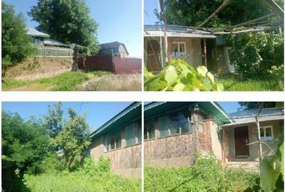 Casă cu 3 camere cu Teren 1096 Mp în Cășăria - 6
