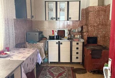 Casă cu 4 camere cu Teren 3200 Mp în Păltinișu - 3