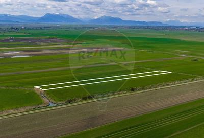 Teren agricol extravilan de 4000 mp, în Stupinii Prejmerului - 6