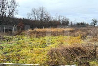 Teren extravilan de vanzare, 1.057 mp, zona Sigmir - 13