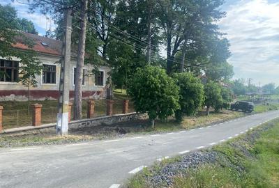 Casă individuală cu 10 camere cu Canalizare în Balinț - 6