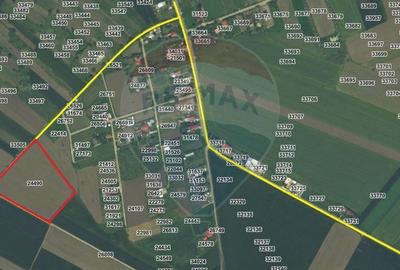 Teren intravilan - 17.500 mp - Gostilele Fundulea Teren intravilan - 17.500 mp - Gostilele Fundulea - 2