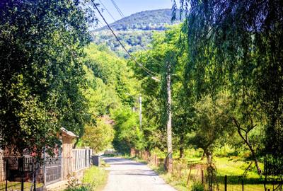 CASA si 2393 mp TEREN INTRAVILAN, Muntii Apuseni, NEGRENI - CLUJ la 1 km de E60 - 36
