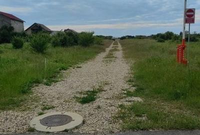 Teren de 428 mp, în Dragomirești-Vale - 5