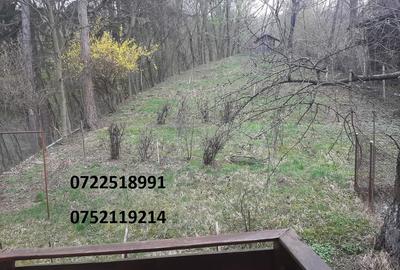 Campulung Muscel, Arges, inchiriere vila superba, la munte - 8