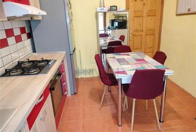 BUCOVINA - 3 CAM - LA CASA - CURTE - CENTRALA - RENOVAT - LOC PARCARE - 16