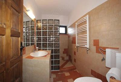 Vila la munte in Busteni - 5