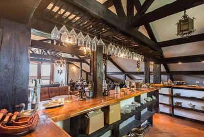 Casă cu 6 camere cu Teren 4000 Mp în Snagov - 2