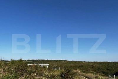 Teren, 2100mp , zona Podgoria langa Hanul Pescarilor - 3