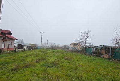 Teren intravilan de vanzare Ciorogarla, Ilfov - 11