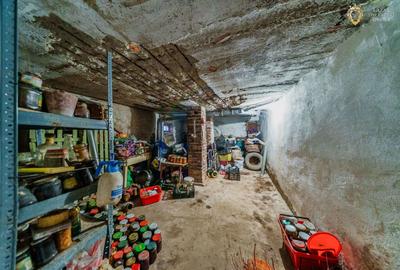 Casa 3 camere de vanzare in Aradul Nou - 28