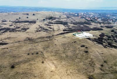 Teren agricol extravilan de vânzare – 67.500 mp – Dealul Daii, Sibiu - 9