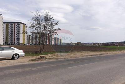 Teren de 33088 mp, în Bartolomeu - 3