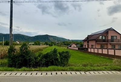 Teren intravilan de vanzare 2237 mp - Chistag, com. Astileu Teren intravilan de vanzare 2237 mp - Chistag, com. Astileu - 4