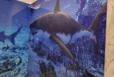 Penthouse cu 5 camere decomandat, mobilat în Central - 27