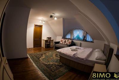 Pensiune turistica complet operationala in Bucovina - 2