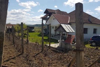 Casă cu 4 camere în Noua - 6