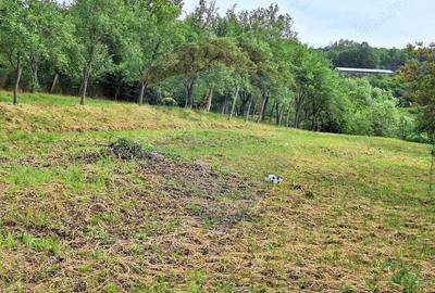 Casa cu teren 3100mp in Hidiselu de Sus - 13