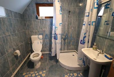 Casa de vacanta/pensiune in Dambovicioara, Arges - 35