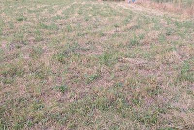 Teren de 5480 mp, în Central - 2