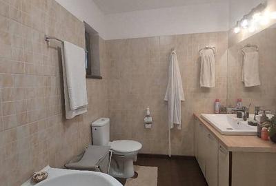 Vila Individuală P+1+M , Strada Cireșului, Fundeni - 13
