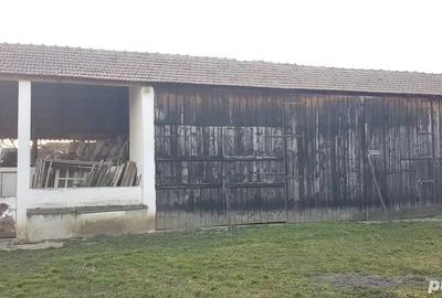 Casa de vanzare , judetul timis Casa de vanzare , judetul timis - 2