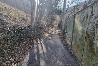 Teren arabil intravilan , priveliste mirifica , zona Schei - 10